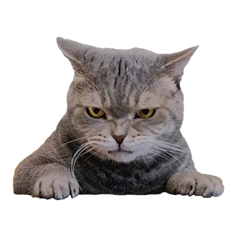 Süße, grimmige Katze - Gesicht (Geschenk)