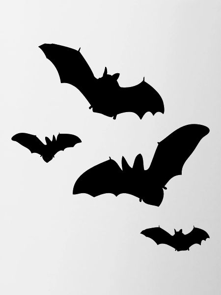 fledermaus1