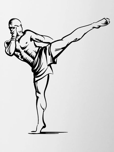 Fighter