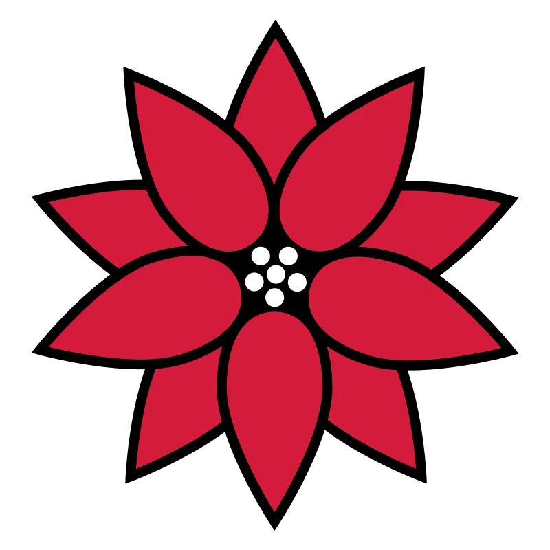 Weihnachtsstern