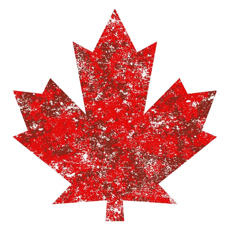 Grunge Feuille Canada Canada Maple Leaf Maple Amérique