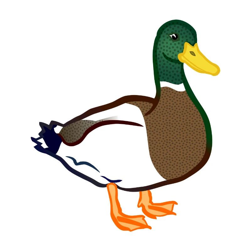 duck117