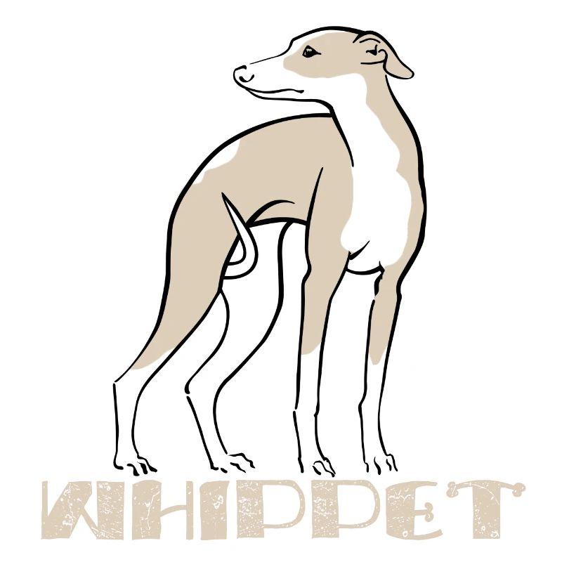 Whippet 45