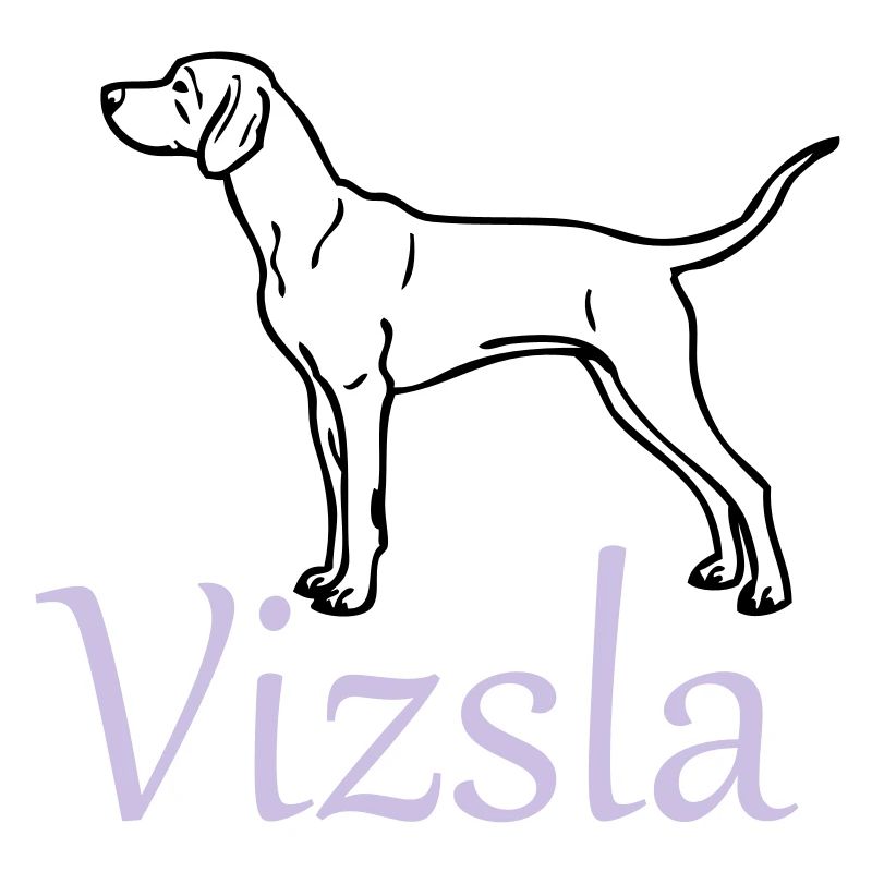 hongarianvizsla_01_2