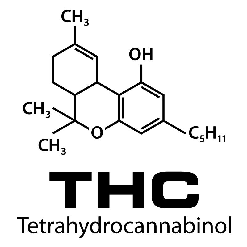THC Cannabis Gras Legalize it Marijuana Haschisch