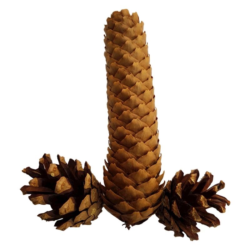 robinet