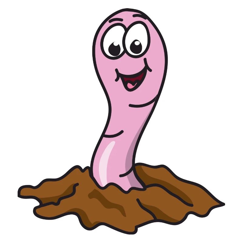 Regenwurm