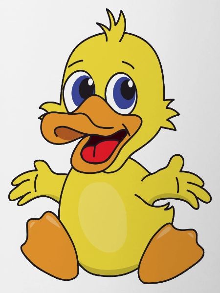 Cute Funny Cool Duck