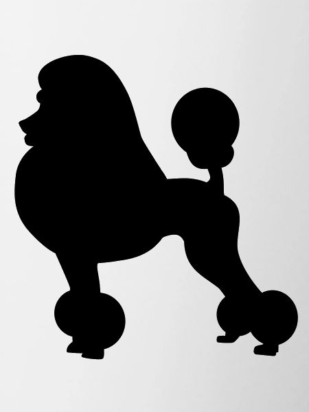 Poodle dog