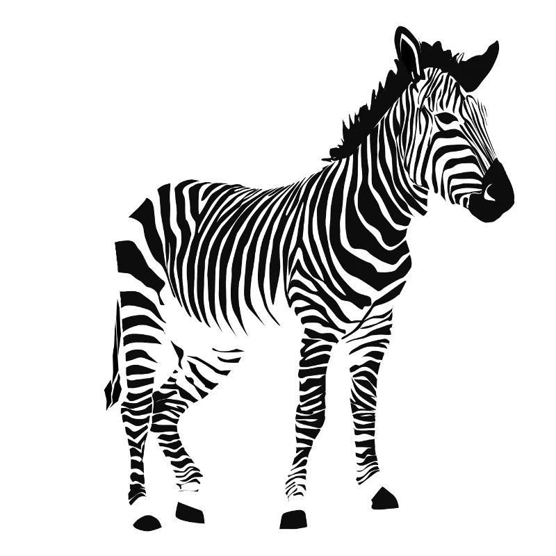 zebra