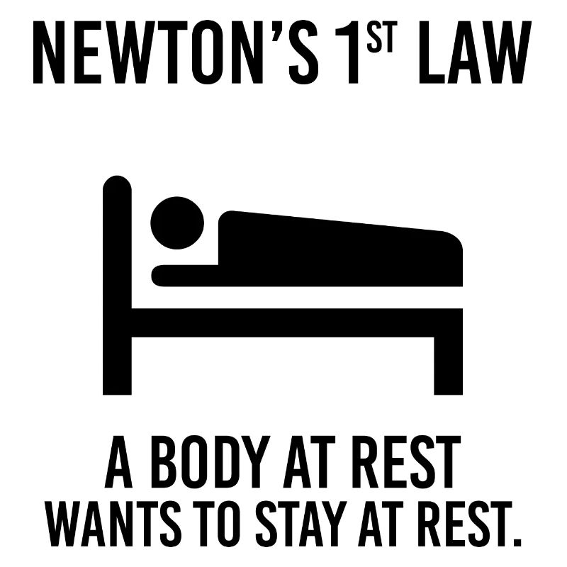 Newton Physik Physiker Lustiger Spruch Geschenk