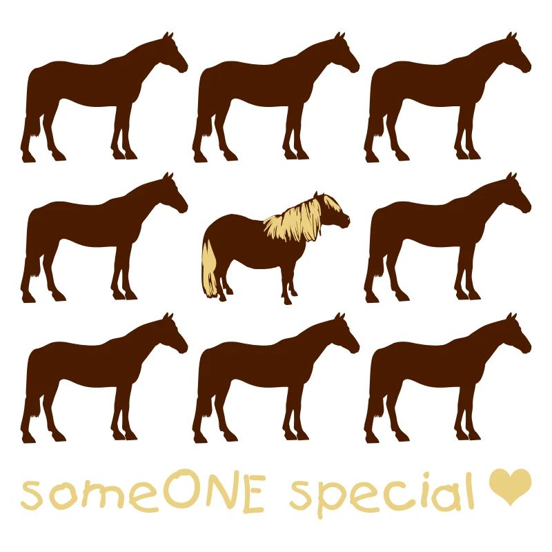 JaC's Haflinger