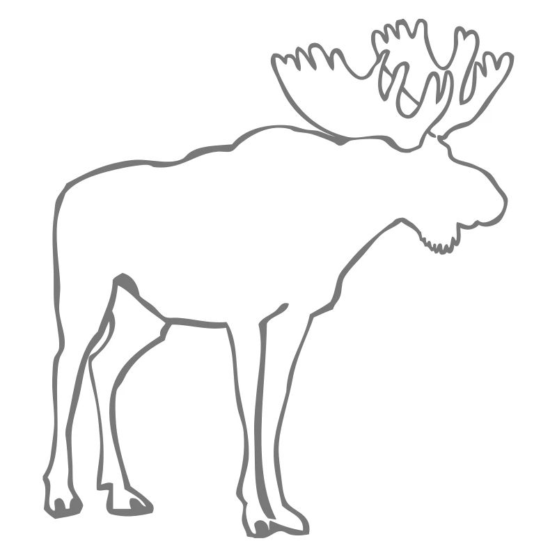 Moose