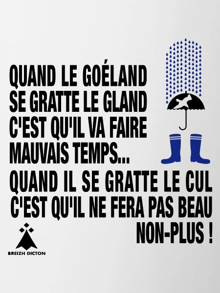 BREIZH DICTON