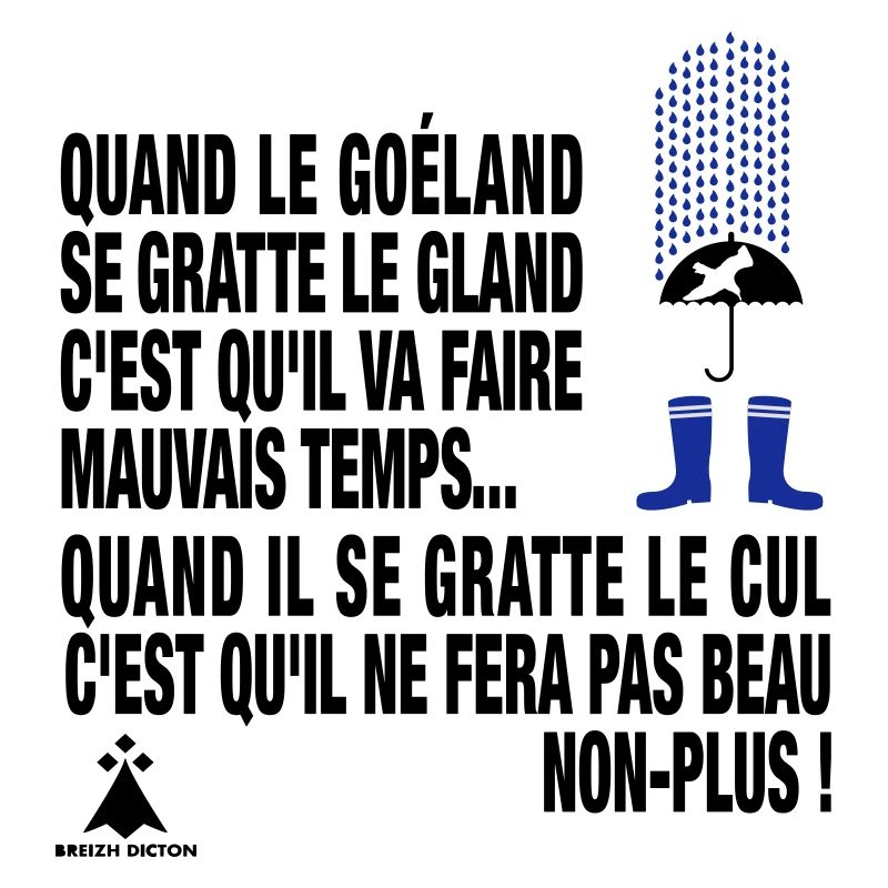 BREIZH DICTON