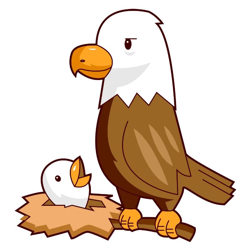 Eagle eagle baby nest bird