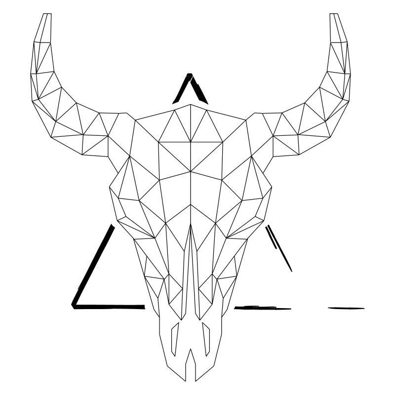 Geometrie Stier