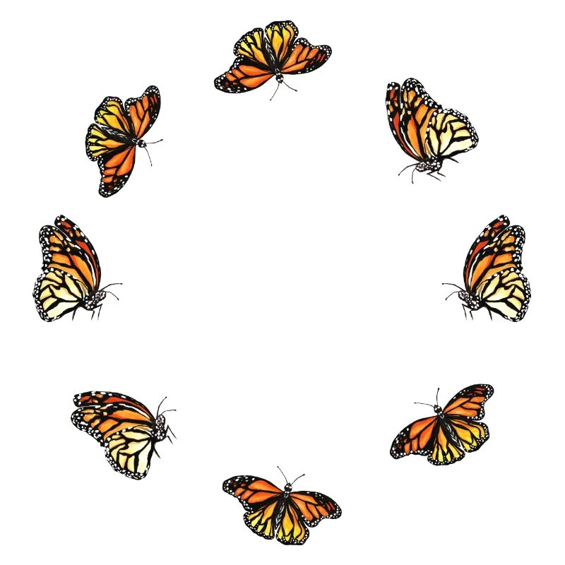 papillon