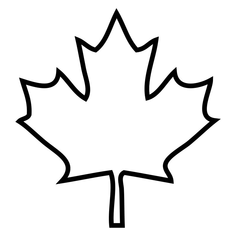 Feuilles d’érable du Canada