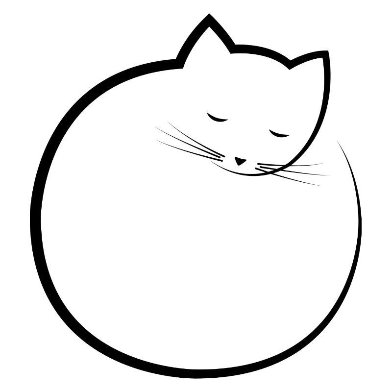 sleeping cat