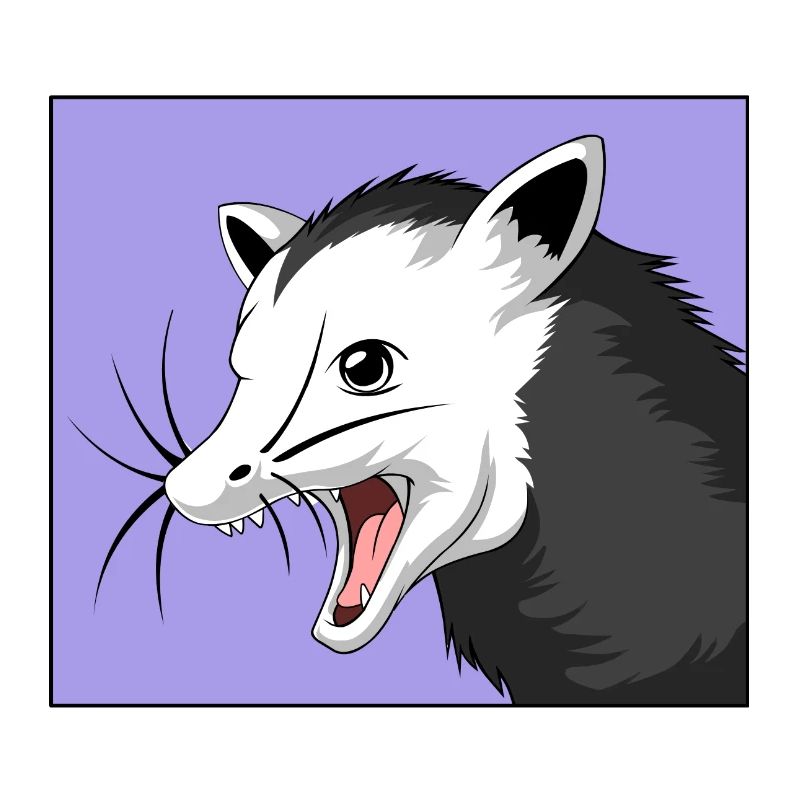 opossum (opossum)