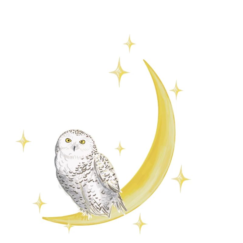 Magische Eule mit Mond und Sternen