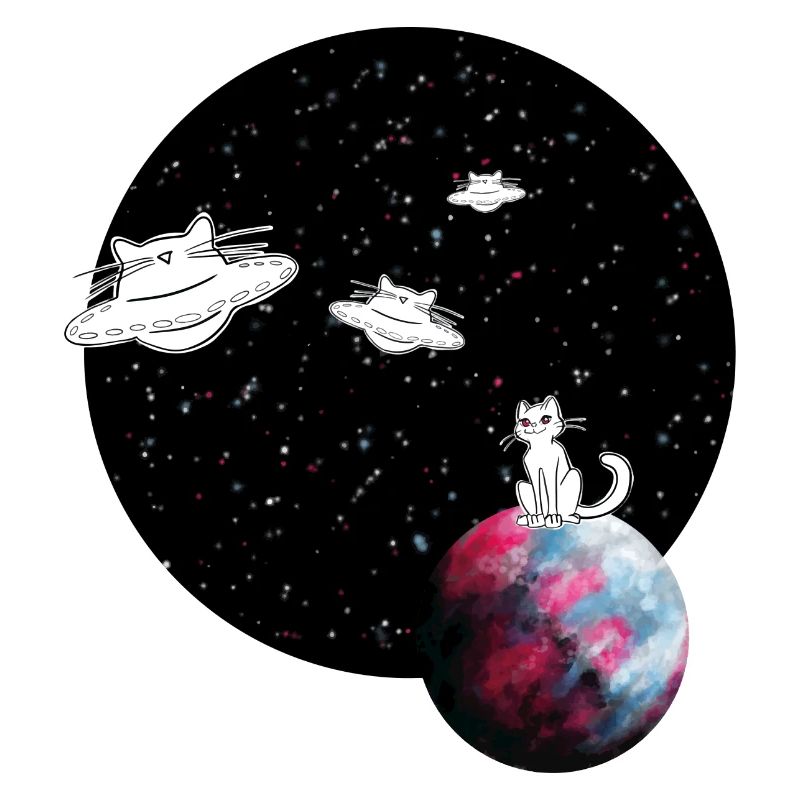 spacecat - Chat de l’espace
