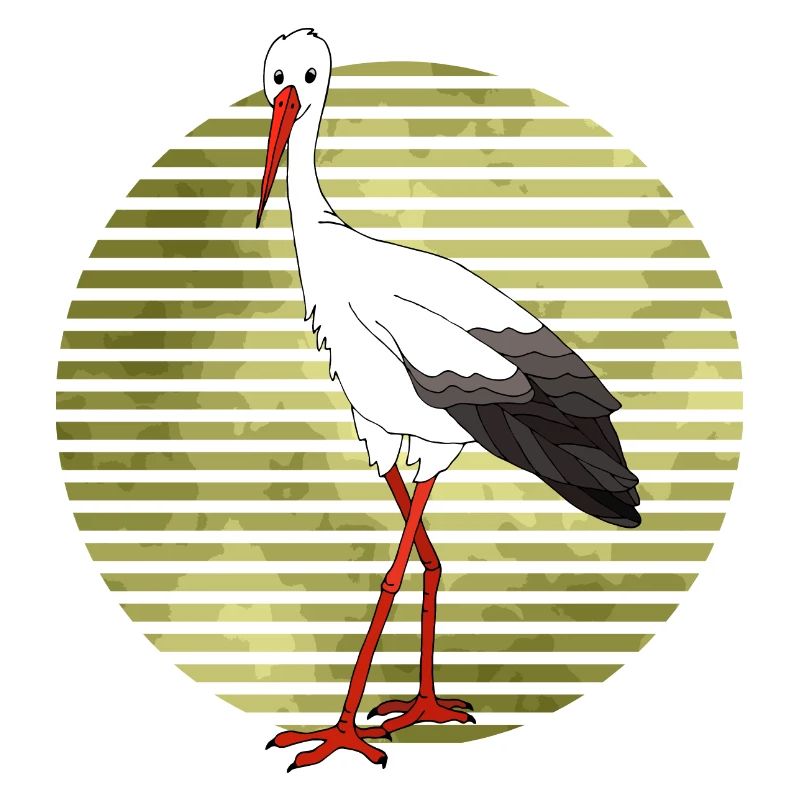 Storch