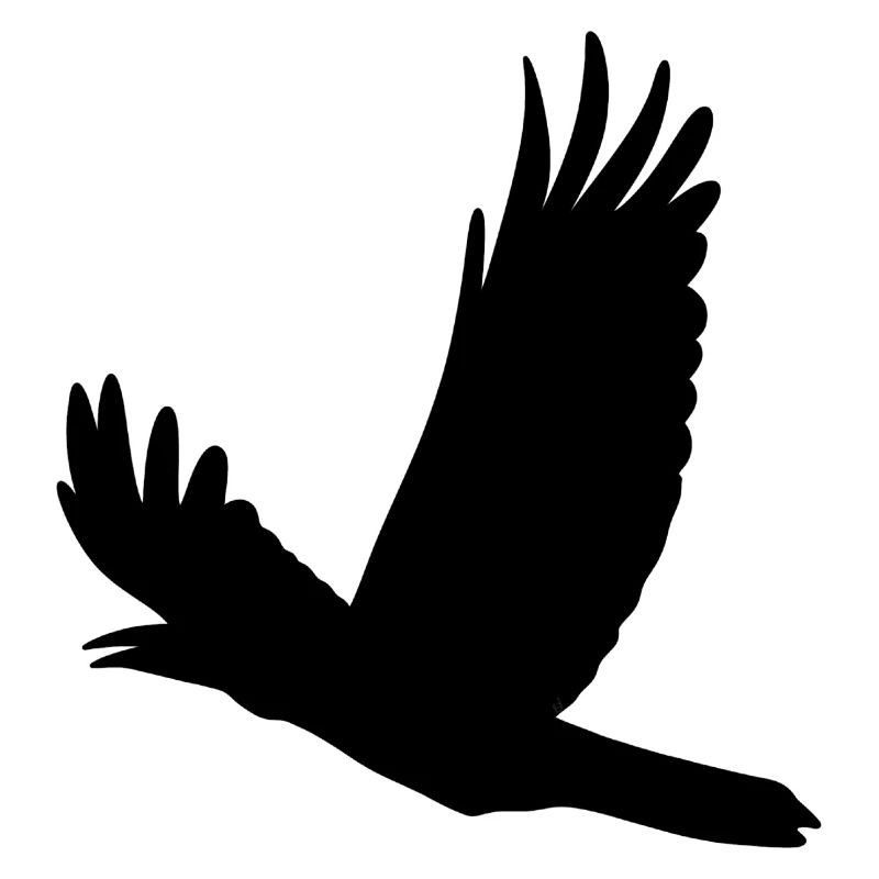 Corbeau volant