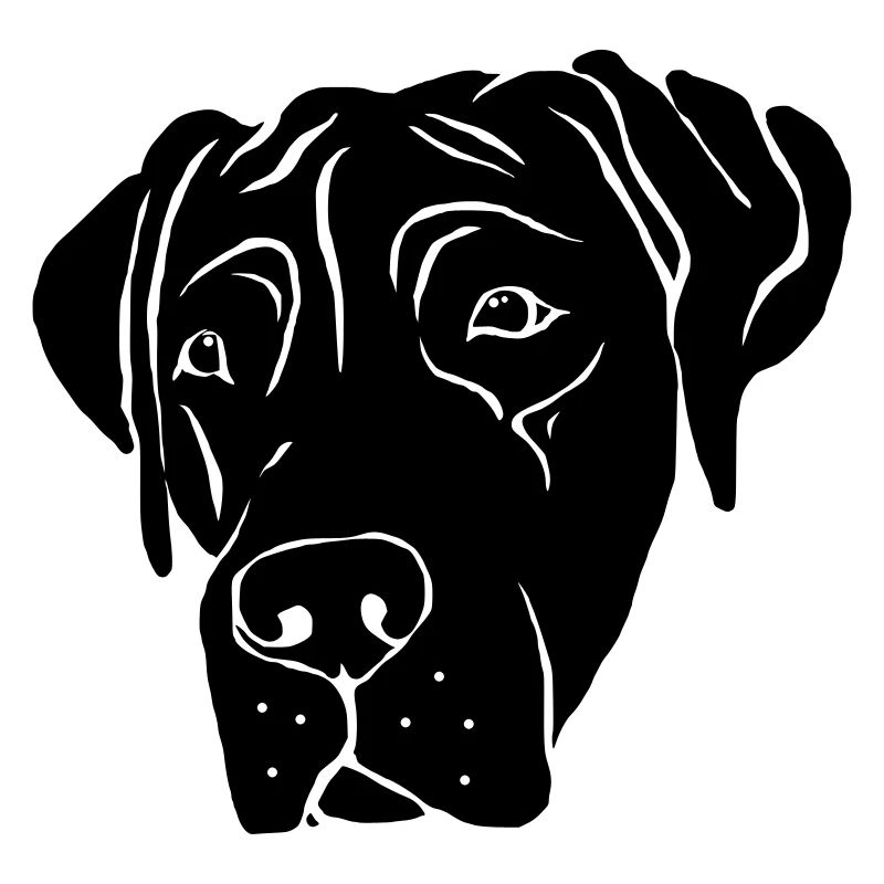 Presa Canario