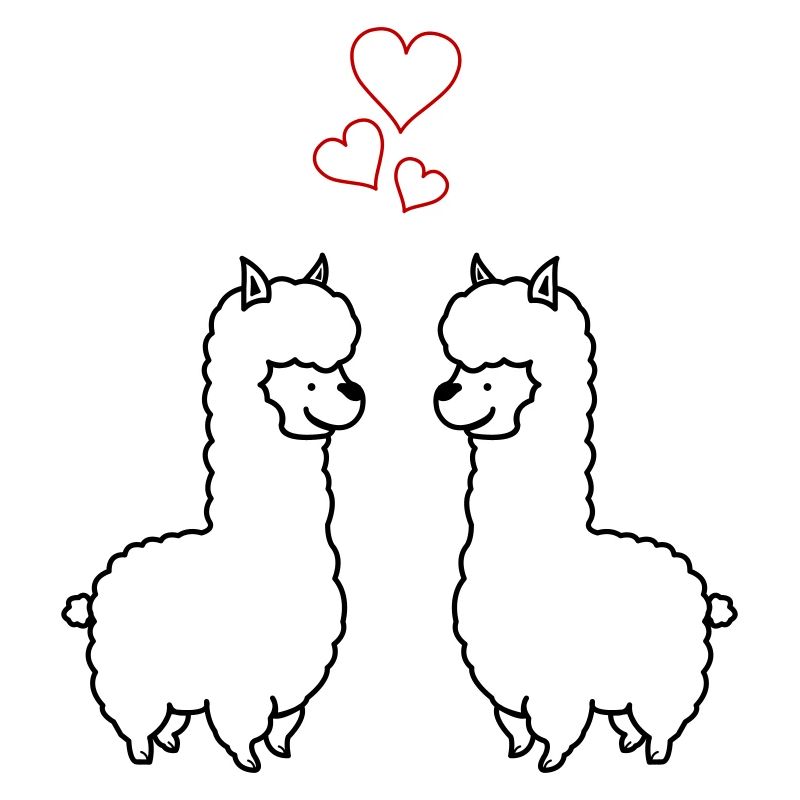 Amour de l’alpaga