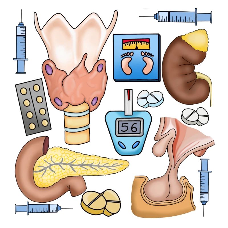 Endocrinology