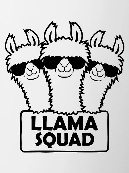 Team Design Llama Squad