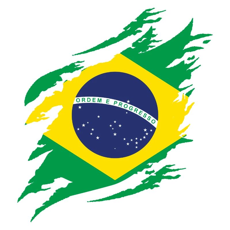 Brésil Drapeau Brésilien Drapeau Amérique du Sud