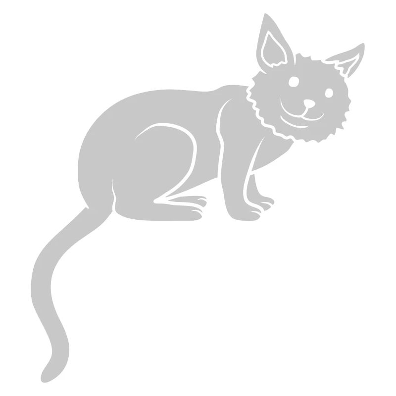 Cute kitten sits cute