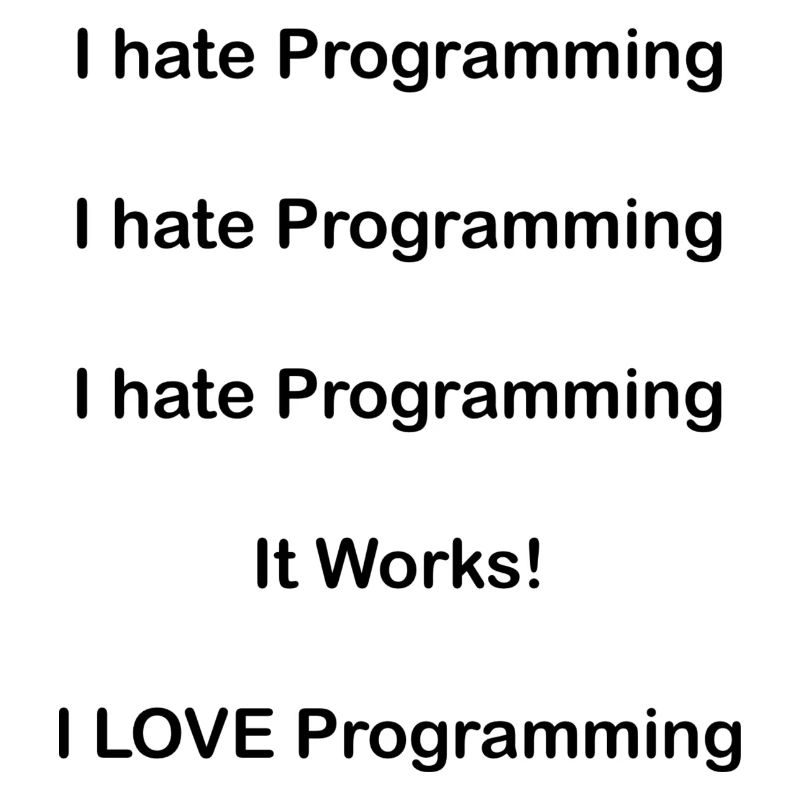 We Love Programing