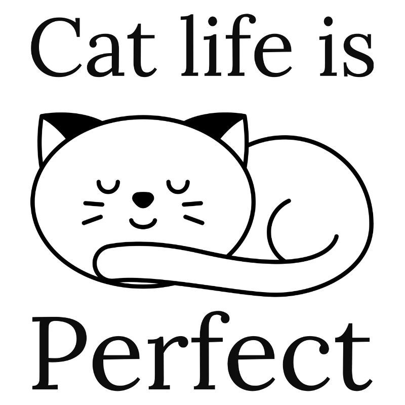 La vie de chat est parfaite