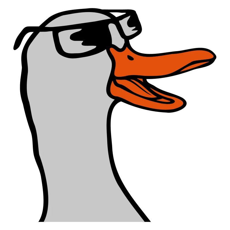 Face Sunglasses Goose Comic
