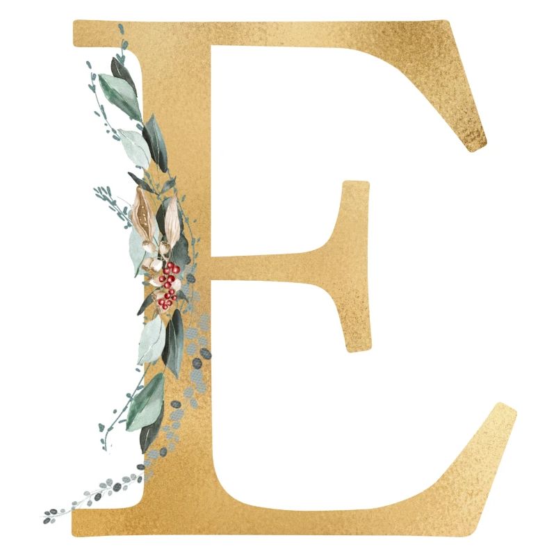 Customizable Monogram E