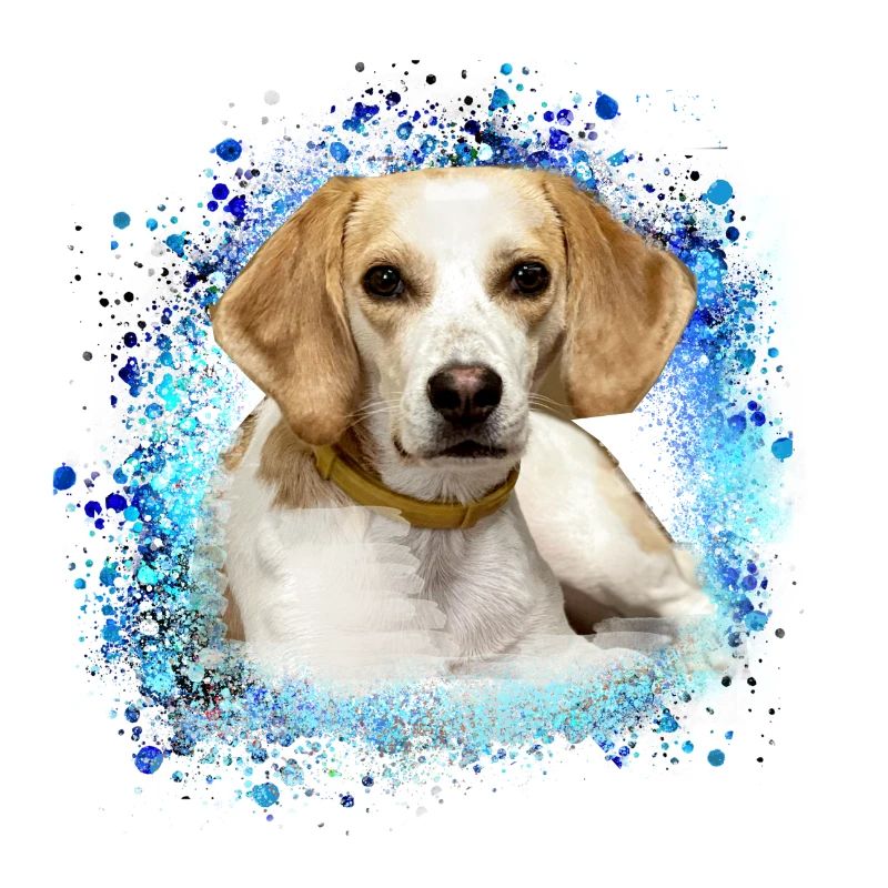 Harrier,Dog,Beagle,Graffiti,Painting