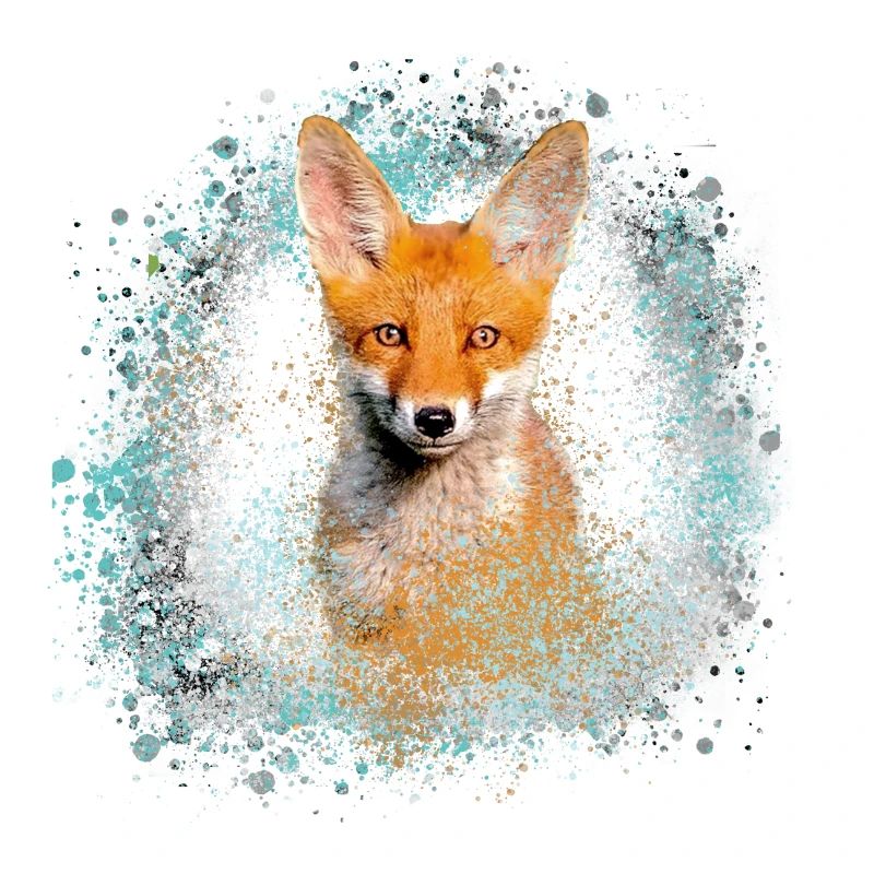 fuchs ,graffiti, painting,fuchs ,watercolor