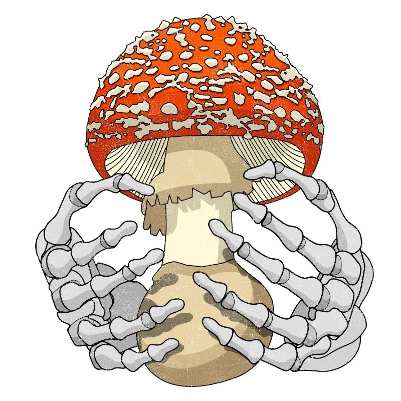 Champignon