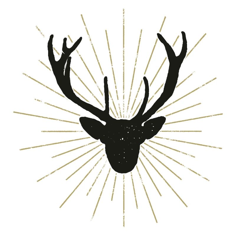 Nice illuminated deer head
