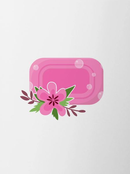 Soap Lady Soapmaking Soapmaker