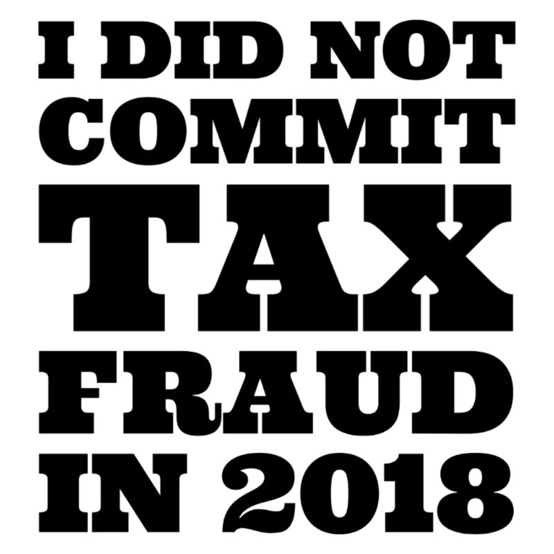 I did not commit tax fraud