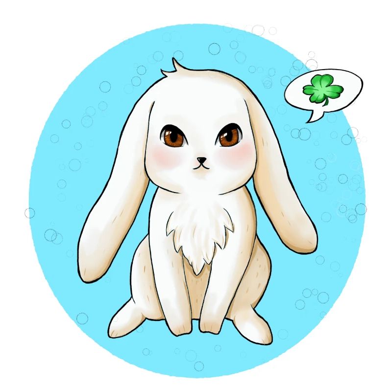 Hase
