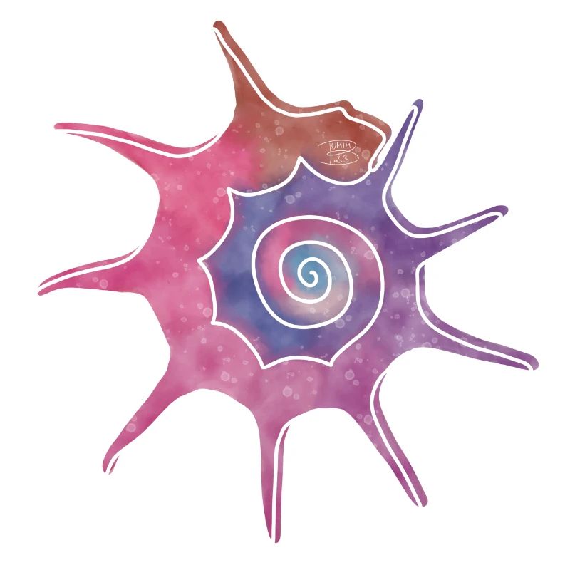 "Bolma", Boho Line Art Design, Serie "Shells"