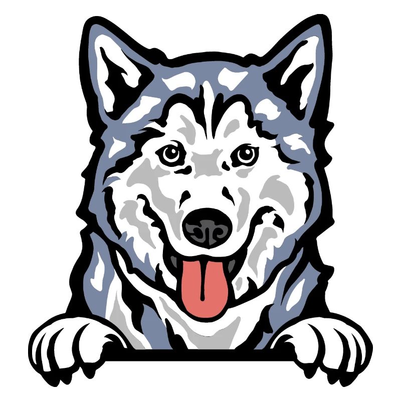 Colored Husky Chronicles: Arctic Elegance