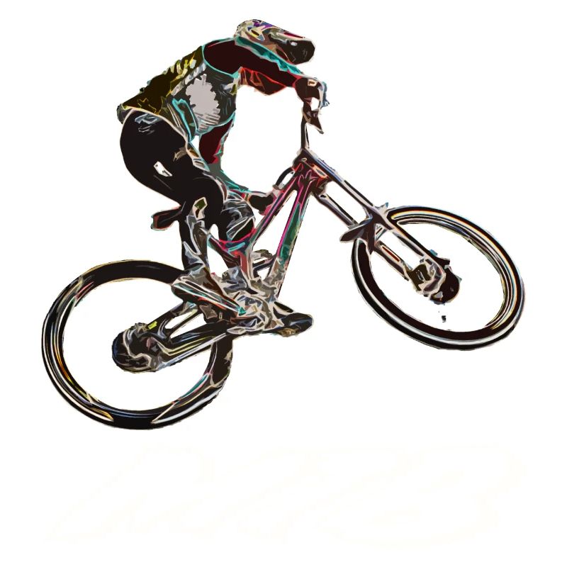 MTB downhill