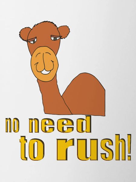 camel no need to rush